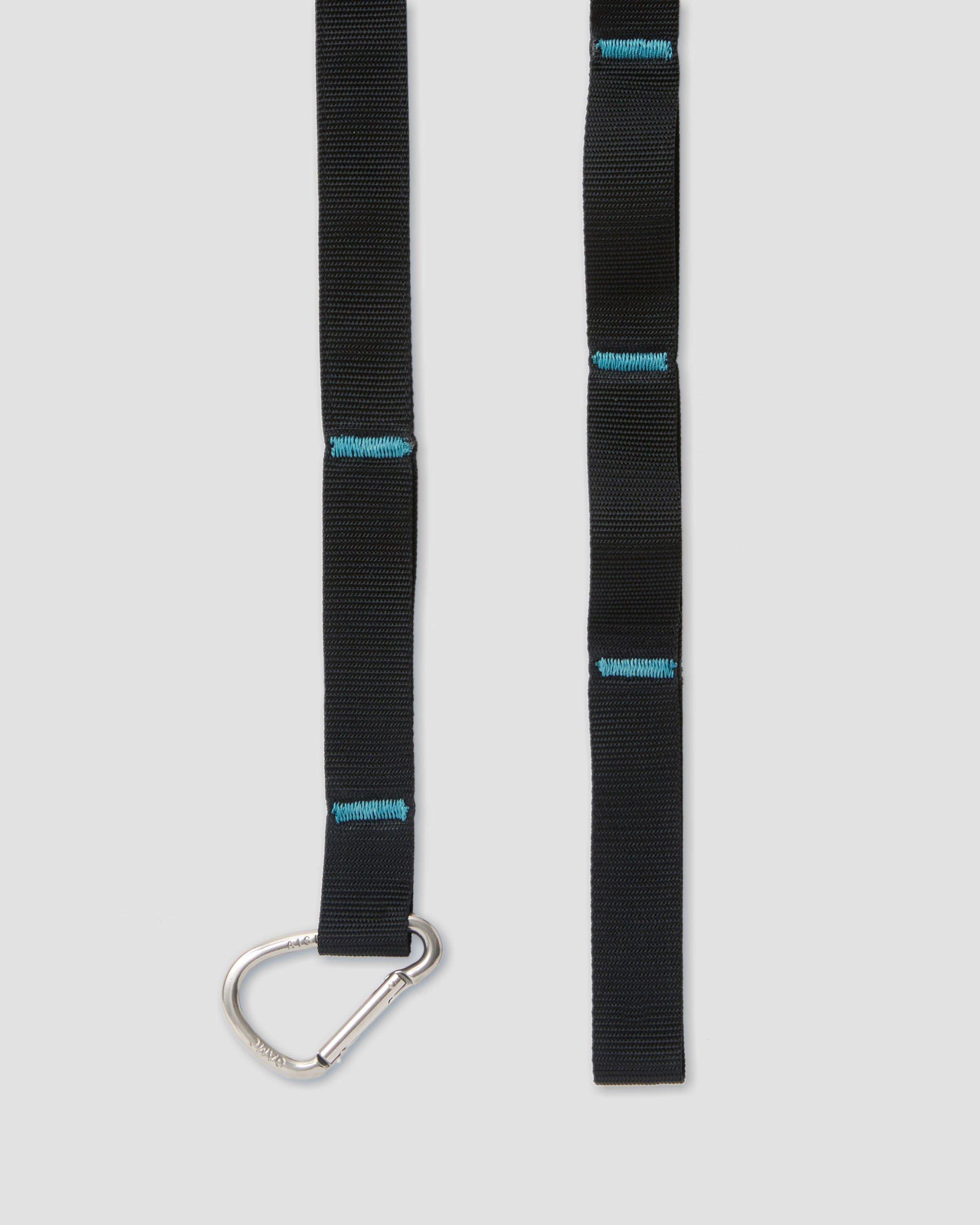 ASCENT BELT